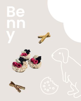 🐰💚 Benny tě zdraví! A už brzy se s ním můžeš setkat osobně na přednášce v Brně. 🤩 @bennyho_susenky Benny tam bude v celé...