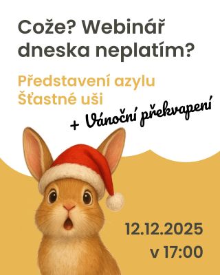Juhuhuuuu! 🎉 Vážení, pojďme se společně dozvědět, jak přesně funguje takový azyl pro králíčky 🐰 (a samozřejmě nejen pro...