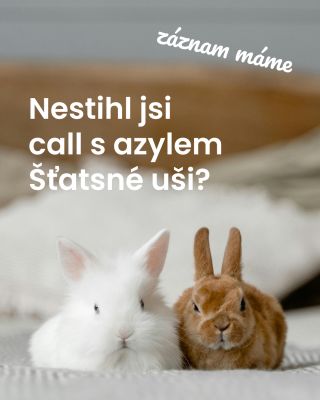 Záznam z callu s azylem @stastne.usi je již dostupný v našem Classroomu v Nahlodaném světě 🥳 📌...