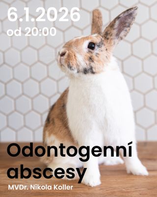 🥳 Abychom na nový rok nezaháleli, tak 6.1 proběhne přednáška od @doktorka.kralickova na téma ❎ Odontogenní abscesy ❎....